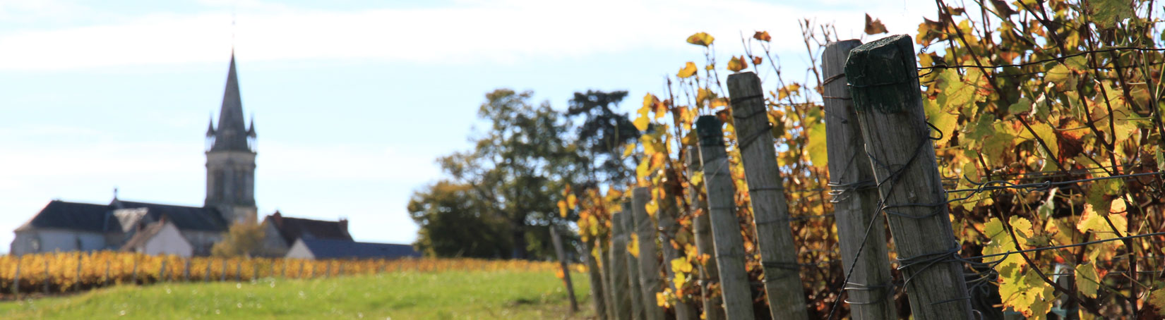 Vignoble Beaulieu Frères Pouilly Fumé