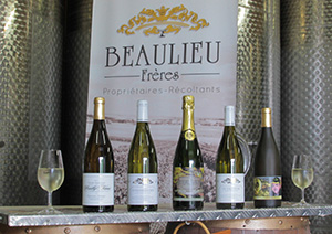 Cuvées Pouilly Fumé Domaine Beaulieu Frères